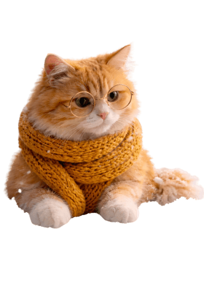 Cat with background removed and flipped